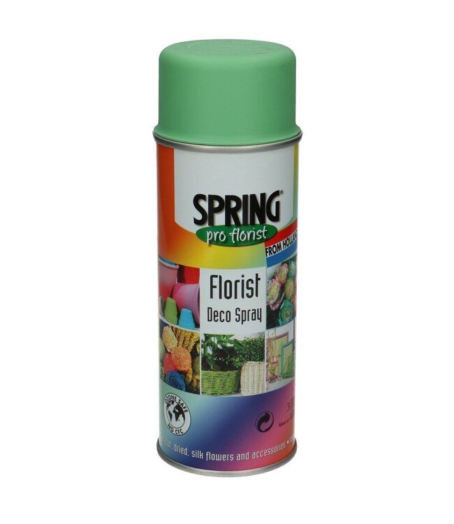 Hellgrüne Sprühfarbe | Inhalt 400 Milliliter | Spring Pro Florist Deko-Spray | Kann pro Spraydose bestellt werden