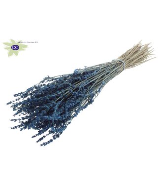 QC Blauwe gedroogde Lavendel | Gewicht 100 gram per bos | Per 40 stuks