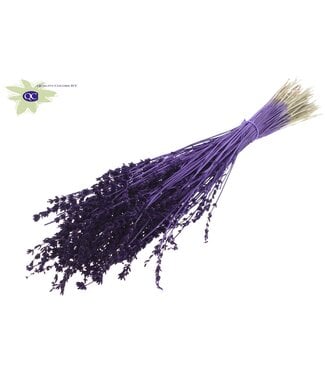 QC Purple dried Lavender per bunch | Per 10 pieces