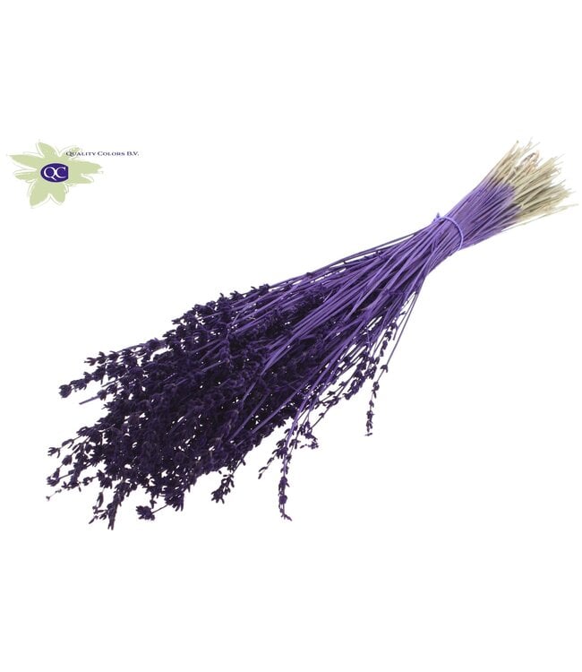 Purple dried Lavender per bunch | Order per 10 bunches