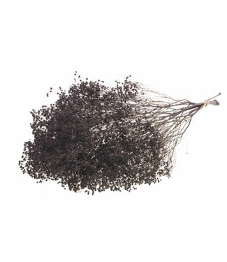 LDD Dark brown Broom Bloom dried flowers | Per 30 pieces