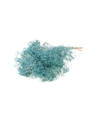 LDD Matt blue Broom Bloom dried flowers | Per 30 pieces