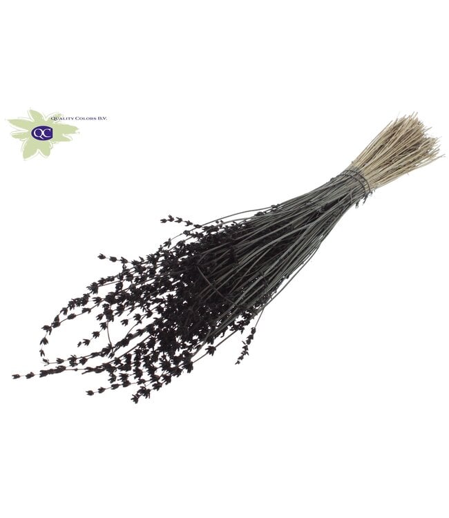 Black dried Lavender per bunch | Order per 10 bunches