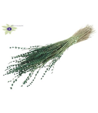 QC Green dried Lavender per bunch | Per 10 pieces