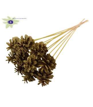 QC Intense olive coloured pine cones side plugs on stick | Diameter 5 - 7 centimetres | Per 50 pieces