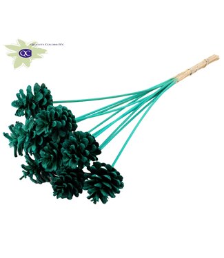 QC Intense turquoise coloured pine cones side plugs on stick | Diameter 5 - 7 centimetres | Per 50 pieces