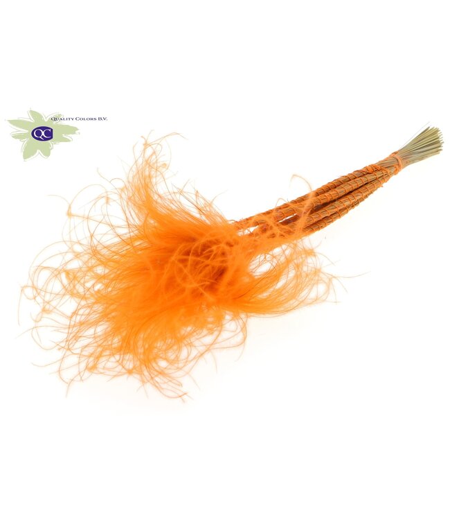 Pastel orange dried feather grass | Stipa Pennata dried flowers | Length 60 centimetres | 10 per bunch | Order per 10 bunches