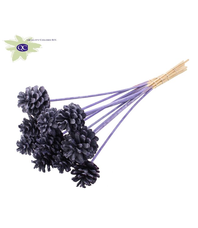 Matt purple pine cones side plugs on stick | Diameter 5 - 7 centimetres | Order per 50 pieces