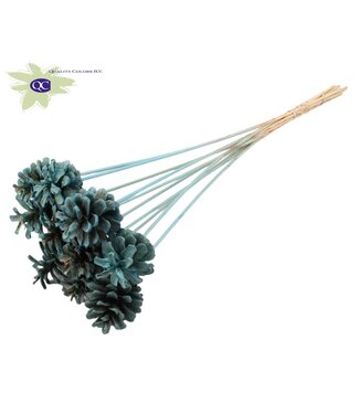 QC Intense light blue pine cones side plugs on stick | Diameter 5 - 7 centimetres | Per 50 pieces