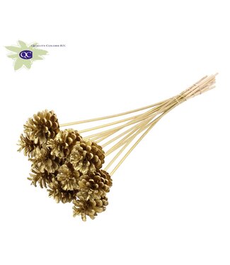 QC Gold-coloured pine cones side plugs on stick | Diameter 5 - 7 centimetres | Per 50 pieces