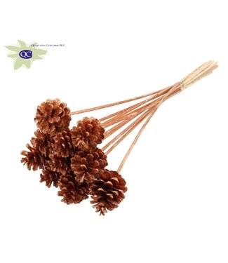 QC Copper-coloured pine cones with glitter side plugs on stick | Diameter 5 - 7 centimetres | Per 50 pieces