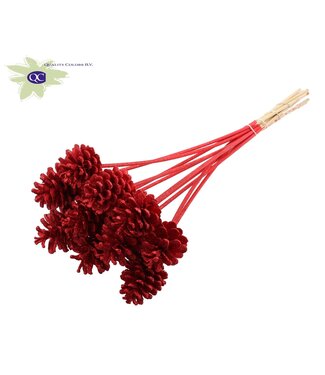 QC Red pine cones with glitter side plugs on stick | Diameter 5 - 7 centimetres | Per 50 pieces