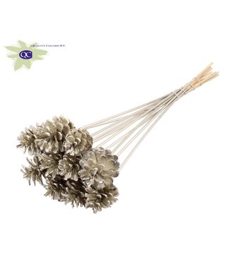 QC Platinum-coloured pine cones side plugs on stick | Diameter 5 - 7 centimetres | Per 150 pieces