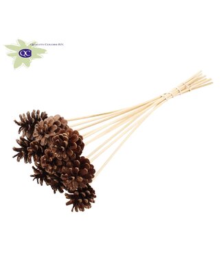 QC Natural pine cones side plugs on stick | Diameter 5 - 7 centimetres | Per 50 pieces