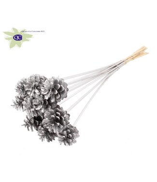 QC Silver-coloured pine cones side plugs on stick | Diameter 5 - 7 centimetres | Per 50 pieces