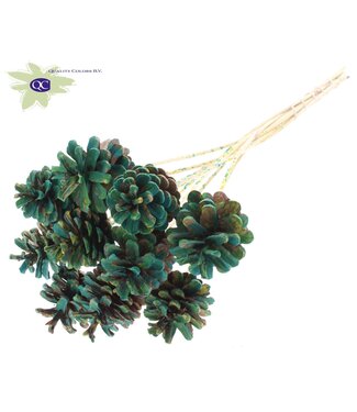 QC Mixed colour green pine cones side plugs on stick | Diameter 5 - 7 centimetres | Per 50 pieces