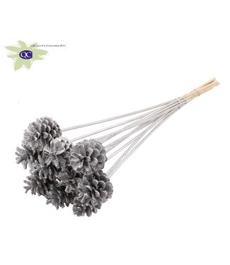 QC Silver coloured pine cones with glitter side plugs on stick | Diameter 5 - 7 centimetres | Per 150 pieces