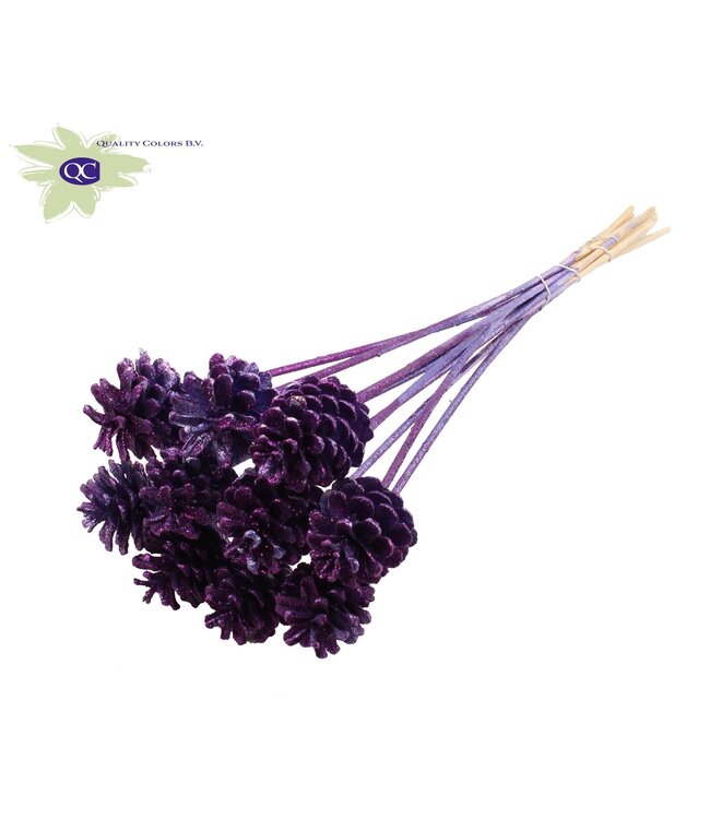 Metallic purple pine cones with glitter side plugs on stick | Diameter 5 - 7 centimetres | Order per 150 pieces