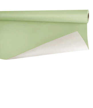 4A Rol lichtgroen papier Biet | Breedte 80 centimeter | Lengte 40 meter | 80 gram/m² | Per stuk