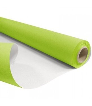 4A Rouleau de papier vert clair | Largeur 80 centimètres | Longueur 40 mètres | Poids de la feuille 60 grammes | Par pièce