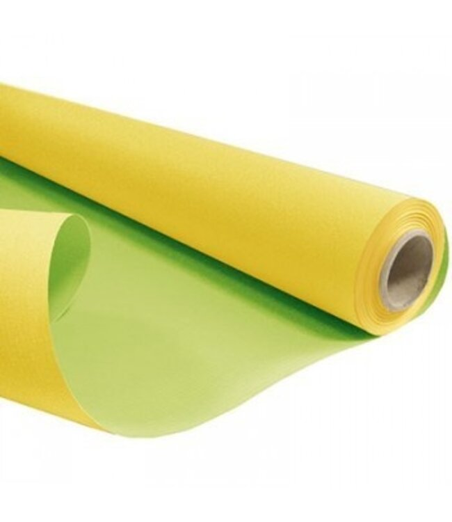 Rol geel groen papier Duo | Breedte 80 centimeter | Lengte 40 meter | 60 gram/m² | Per rol te bestellen