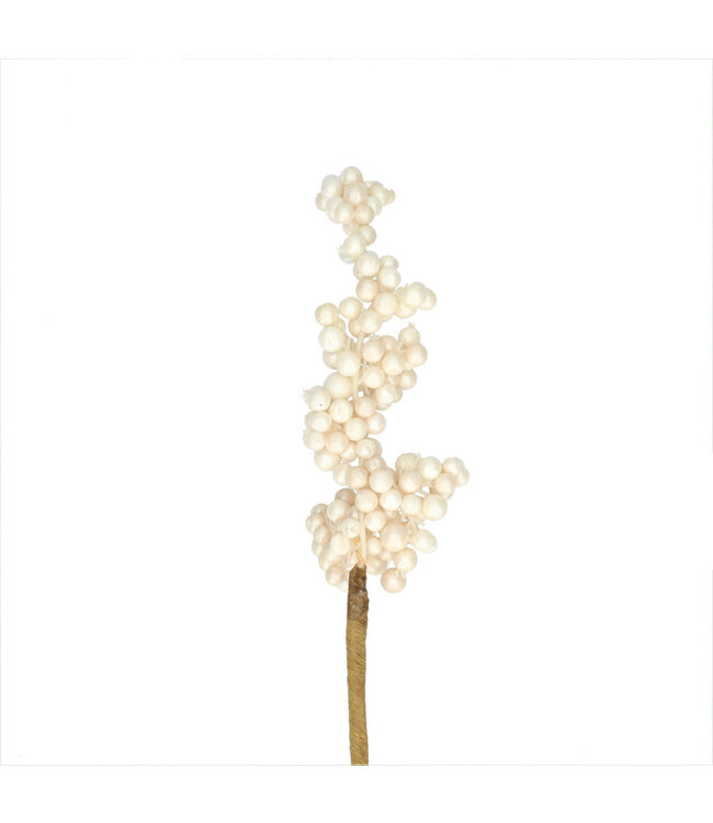 Kerst bijsteker 50cm Berry 6*12cm ( x 24 )