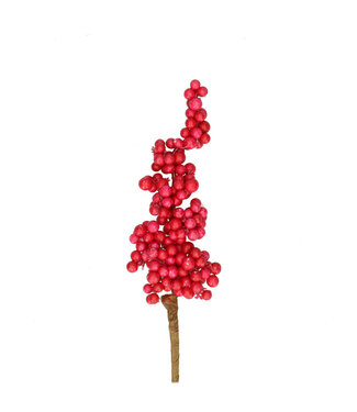 4A Kerst bijsteker 50cm Berry 6*12cm ( x 24 )