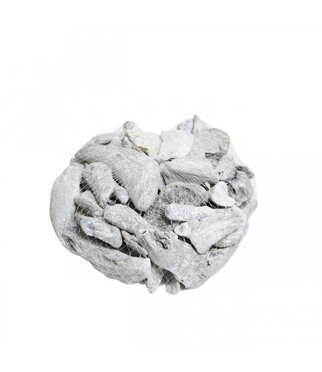 White dried driftwood decorative wood | Weight 300 - 500 grams | Available for purchase individually