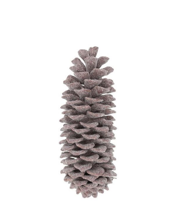 Dennenappels Suger pine wax 35cm ( x 1 )