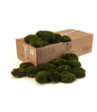 AD Mood Moss Gepreserveerd Bulk Ca. 0,8 M2 ( x 1 )