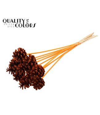 QC Pine cone 5-7cm on stem Orange ( x 150 )