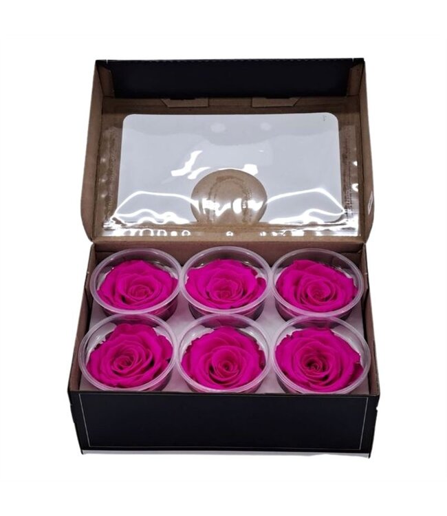 Roze gepreserveerde rozen | Maat XL | 6 stuks per doos | Per doos te bestellen