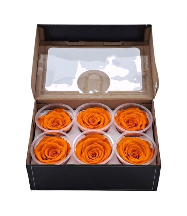 Orange reserved roses | Size XL | 6 pieces per box | Order per box