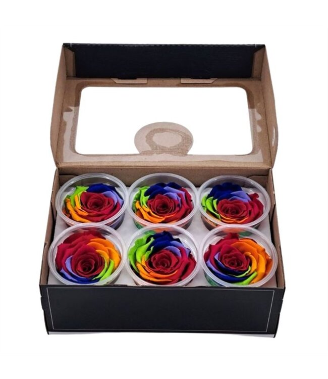 Regenboogkleuren gepreserveerde rozen | 6 stuks per doos | Per doos te bestellen