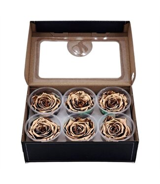 AD Metallic gold-coloured reserved roses | Per 6 pieces