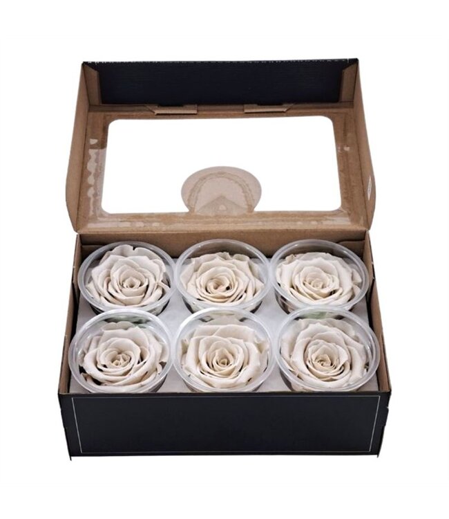 Matt white reserved roses | Size XL | 6 per box | Order per box