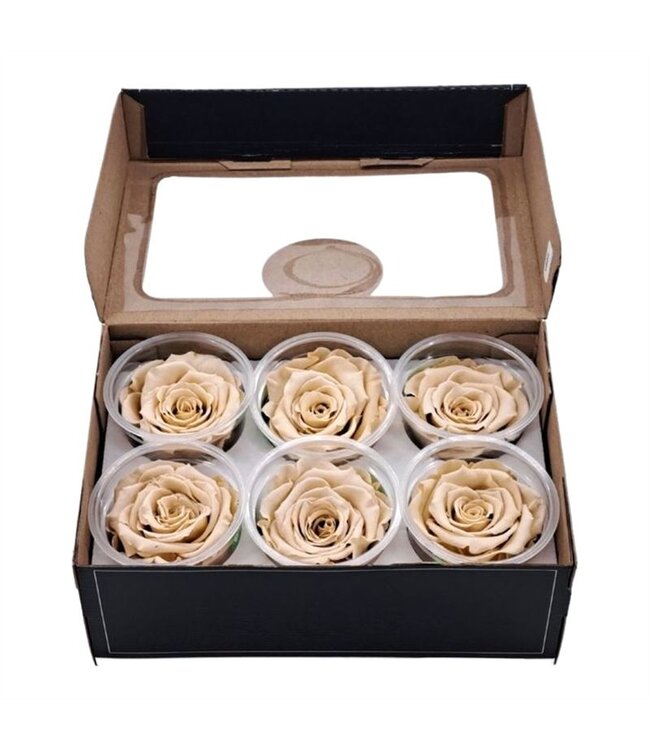 Champagne-coloured reserved roses | 6 per box | Order per box