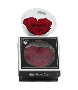 AD Red heart-shaped reserved rose | Size XXL | By piece