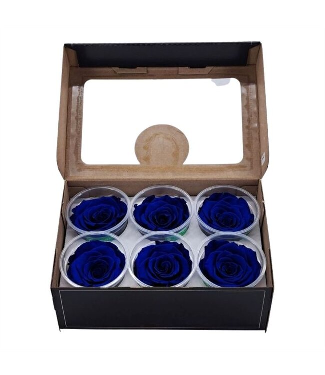 Blue reserved roses | Size XL | 6 per box | Order per box