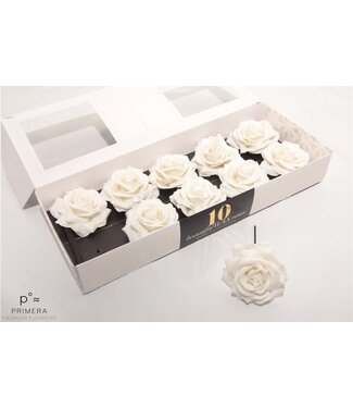 AD Soft white silk wax roses | Per 10 pieces