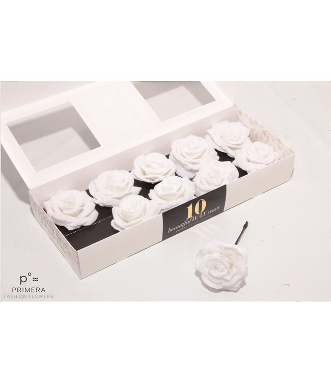 Snow white silk wax roses White Diamond | 10 pieces per box | Per box to order