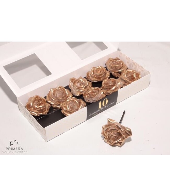 Gold coloured silk wax roses White Blush | 10 pieces per box | Order per box