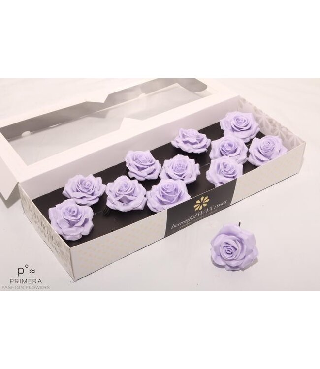 Roses en cire de soie couleur lavande | Taille M | 12 pièces par boîte | À commander par boîte