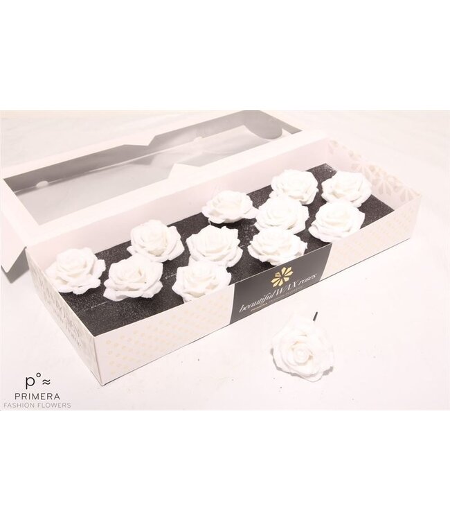 Snow white silk wax roses White Snow Diamond | Size M | 12 pieces per box | Available to order per box