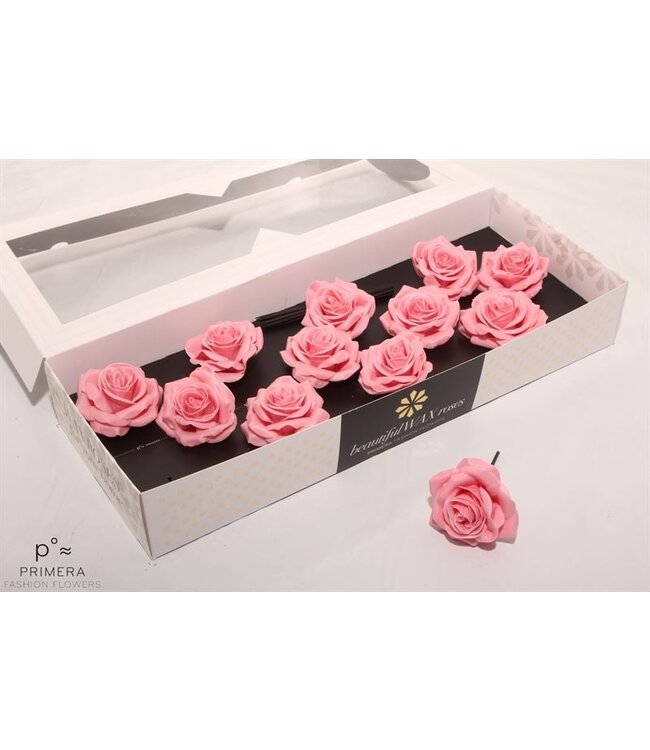 Light pink silk wax roses | Size M | 12 pieces per box | Order per box