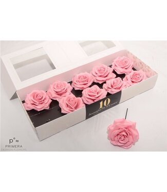 AD Light pink silk wax roses | Per 10 pieces