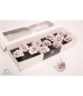 AD Roses en cire de soie blanc-rose Bord Blush | Taille M | Par 12 pièces