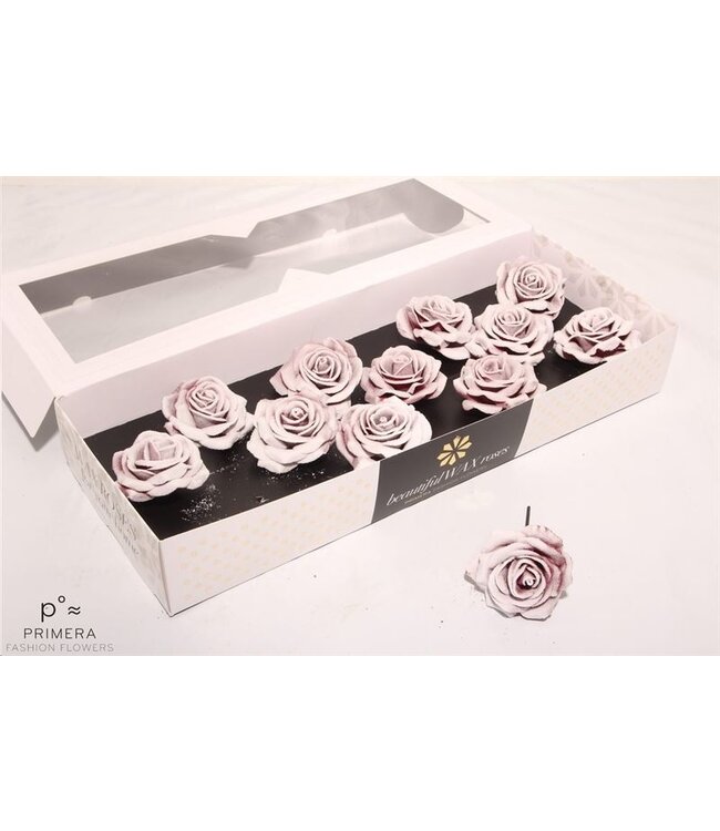 White-pink silk wax roses Board Blush | Size M | 12 pieces per box | Available to order per box