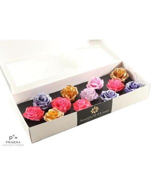 AD Mixed colours silk wax roses Blush Fantasy mix | Size M | Per 12 pieces