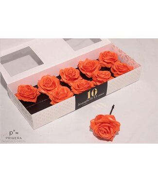 AD Orange silk wax roses | Per 10 pieces